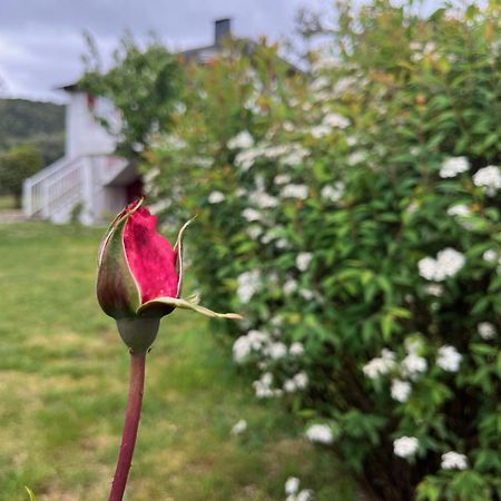 A Casina Casa Rural En Galicia Ourense Bagian luar foto