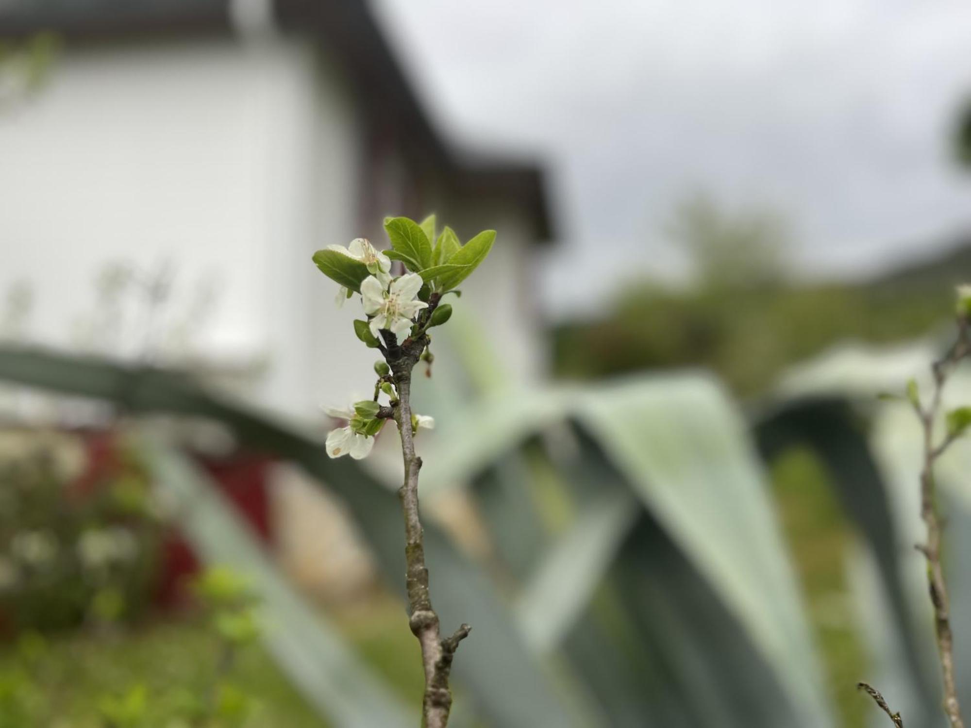A Casina Casa Rural En Galicia Ourense Ruang foto