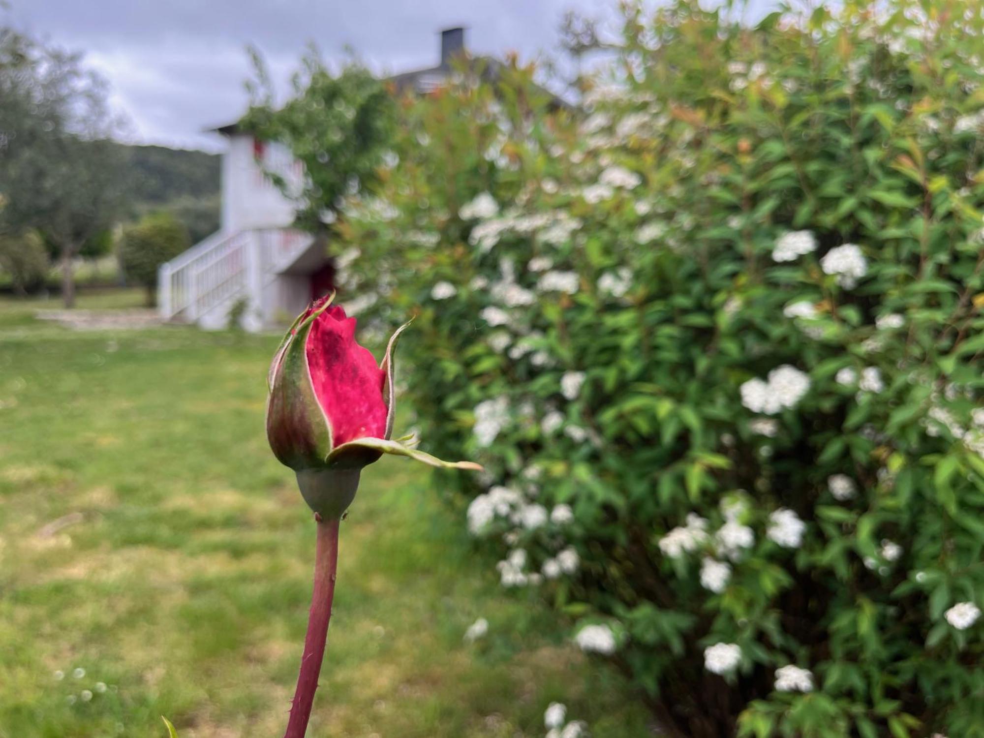 A Casina Casa Rural En Galicia Ourense Bagian luar foto