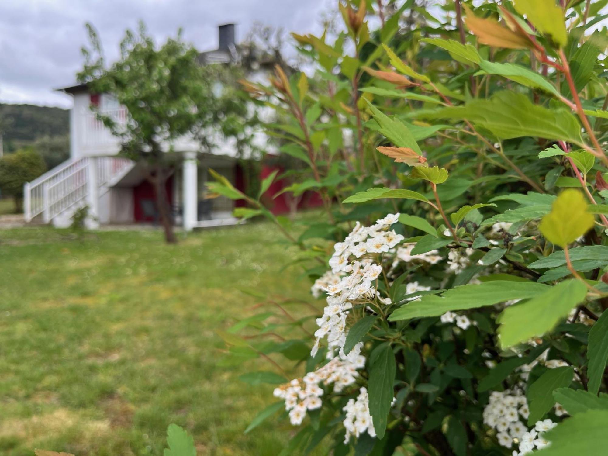 A Casina Casa Rural En Galicia Ourense Bagian luar foto